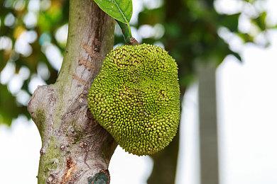 亚马逊宣布为任天堂Switch 2开发游戏 愿意多等1年